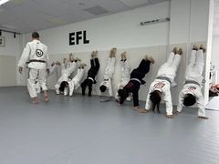 -EFL巴西柔术·综合格斗·泰拳·少儿体能训练(虹桥德必馆)