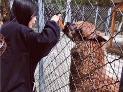 -长白岛森林公园