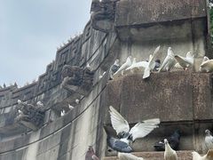 -音乐台