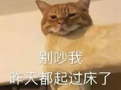-耶里夏丽·丝路新疆菜·清真食品(徐汇南丹东路臻选店)
