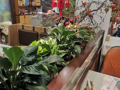 -洞庭家宴·头牌甲鱼(广渠门店)