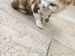 -西安大唐西市博物馆
