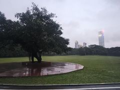 -莲花山公园
