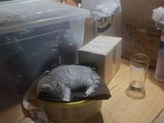 -无牌咖啡&酒馆