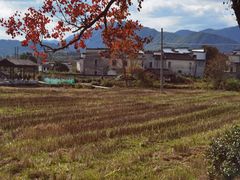 -塔川景区