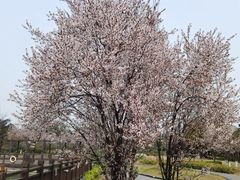 -府河摄影公园