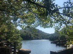 -白马涧龙池景区