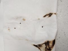 -瑞派雷欧宠物医院·24h夜诊·心脏骨科牙科·全科重症转诊中心(无影山店)
