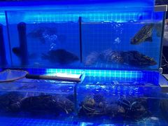 -海纳百川·都市温泉·足道·SPA(学院路店)