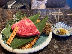 -老乾杯(深圳湾万象城店)