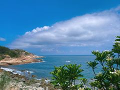 -广东惠东海龟国家级自然保护区