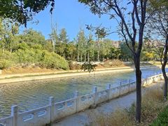 -坝河休闲公园