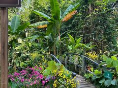 -中国科学院西双版纳热带植物园