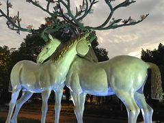 -鹭江潮餐厅•福建菜(鹭江佲家酒店)