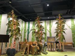 -幻贝家儿童乐园(苏州中心店)