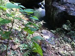 -桂山风景旅游区