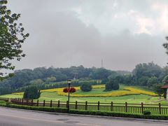 -棒棰岛宾馆景区