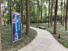 -三星堆博物馆