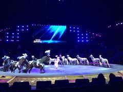 -珠海横琴长隆《卡卡虎奇遇记》