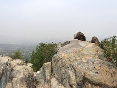 -北京鹫峰国家森林公园