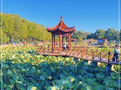 -稻香湖景欢乐岛温泉城堡