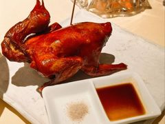 非遗红烧乳鸽-侨美食家·粤菜(体育西路店)