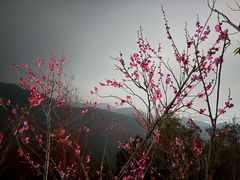 -北高峰