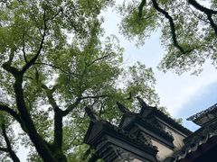 -天一阁博物院