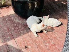 -无名小酒馆·湖北私房菜(昙华林店)