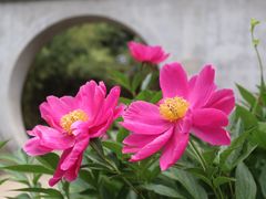 -丰台花园