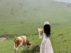 -大姆山草场