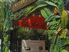 -上海大自然野生昆虫馆(东方明珠·爬宠昆虫探索中心)