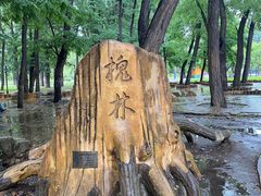 -二一九公园