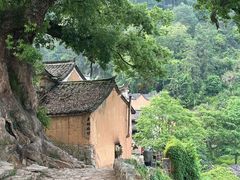 -杨家堂村