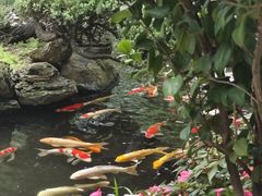 -聚福宝合苑食府(南头镇店)