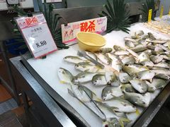小金昌鱼-AEON永旺(东方宝泰店)