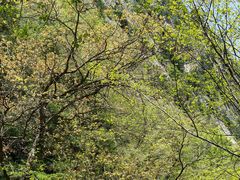 -青峰峡国家森林公园