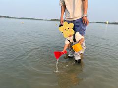 -武清南湖绿博园