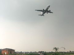 -空港花田景区