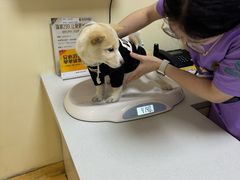 -瑞派宠物医院·24小时骨科·心脏·核磁(哈尔滨南岗店)