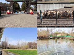 -溱湖国家湿地公园