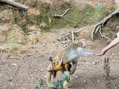 -黔灵山公园