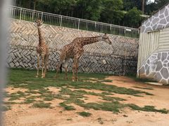 -泉州海丝野生动物世界