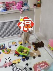 -花开映像儿童摄影