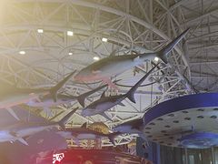 -烟台海昌鲸鲨海洋公园