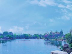 -桃花岛景观公园
