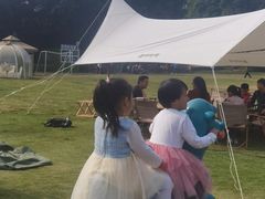 -厦门悦华酒店·绿庭主题自助餐厅