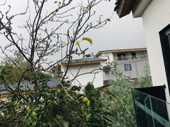-云里小坐·小院里·团建·宴请·下午茶(三圣乡店)