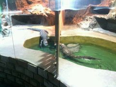 android_upload_pic-上海大自然野生昆虫馆