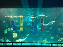 -泉城欧乐堡海洋极地世界